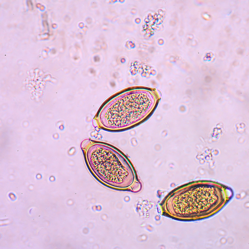 Parasitenwissen - Der Grundlagenkurs